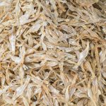 dried fish at the market in Thailand